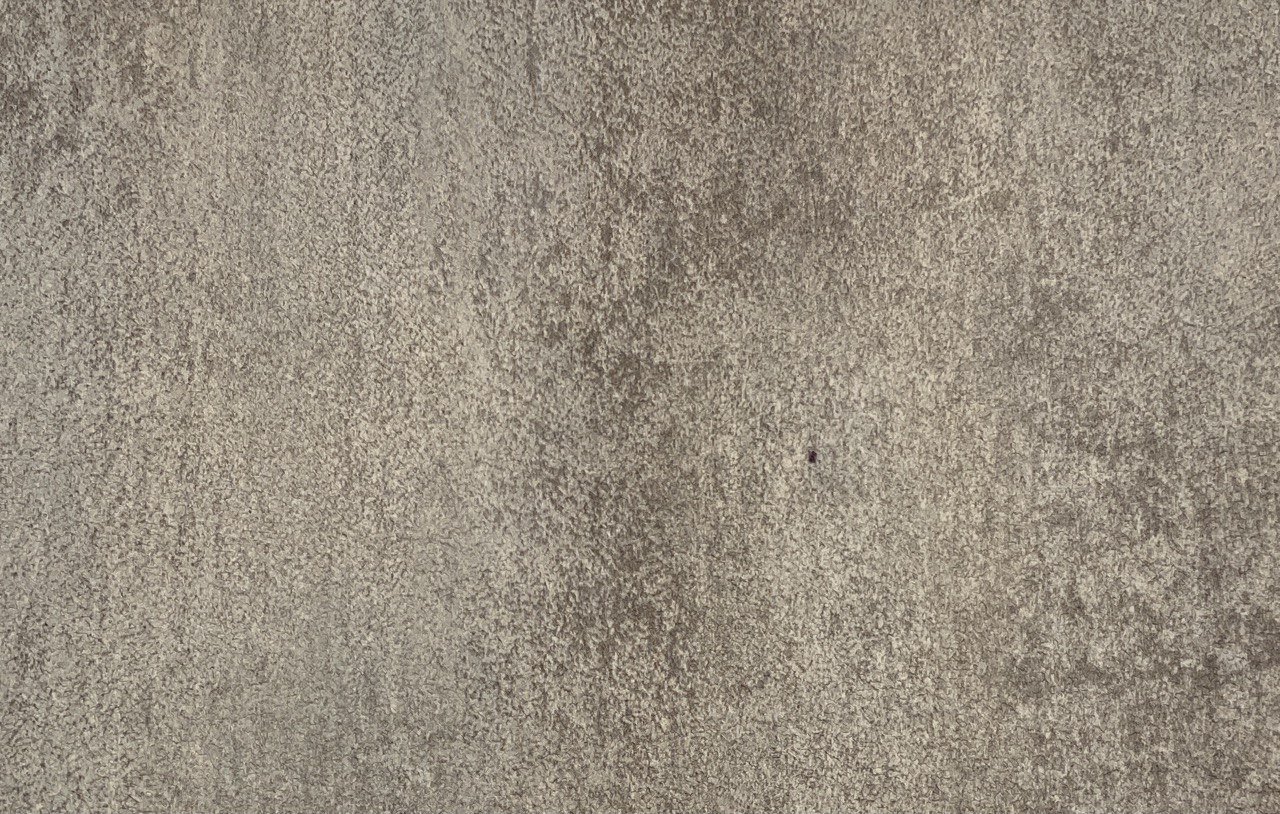 Beton-svetlyj-7803.jpg